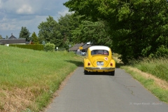 kDSC_9550