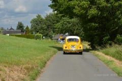 kDSC_9552