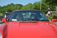 0kDSC_2481