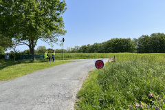 Foto-27.05.23-12-13-18